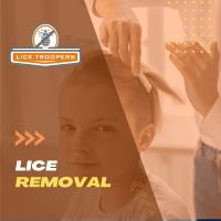 Lice Troopers Lice Removal and Lice Treatment image 4